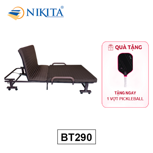 Giường Gấp Nâng Đầu BT290