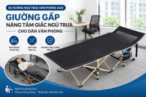 Ngủ Trưa Văn Phòng 2026